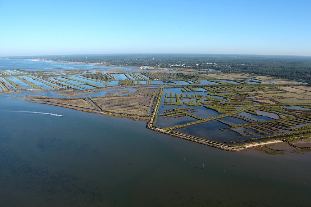 Domaine de Certes et Graveyron un joyau naturel du Bassin d’Arcachon