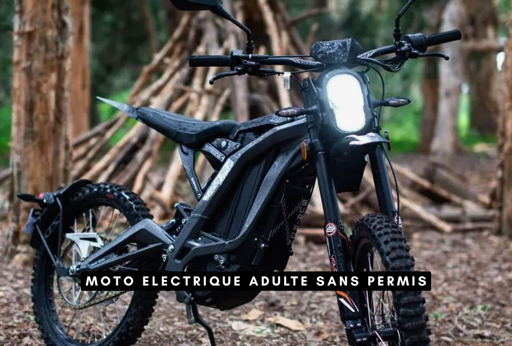 Moto électrique adulte sans permis Une mobilité moderne économique et écologique