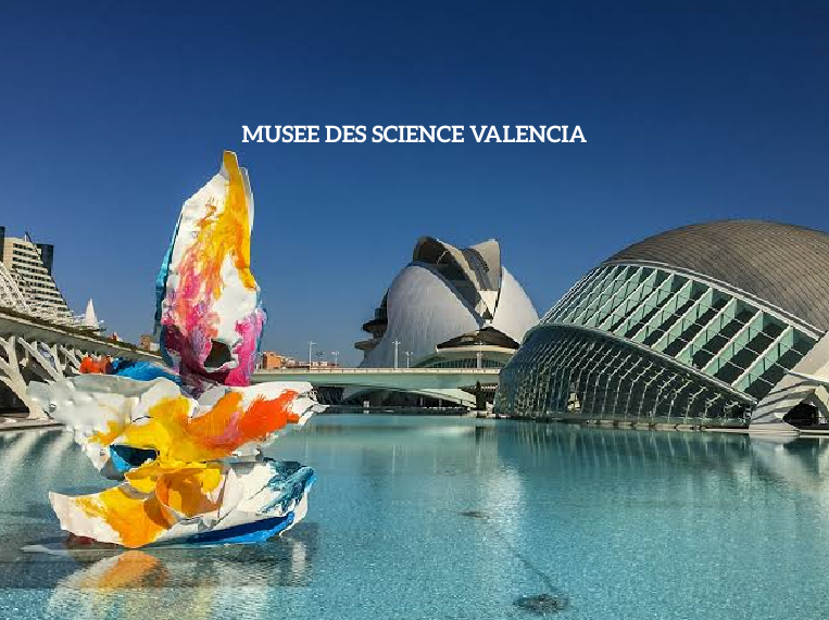 Musee des Science Valencia Une découverte unique de la science et de l’innovation