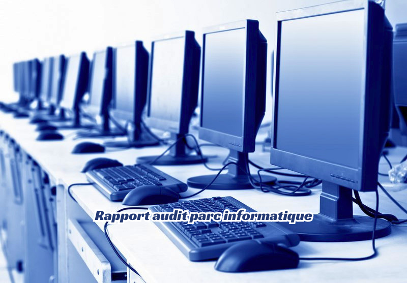 Rapport audit parc informatique un outil essentiel pour optimiser la gestion des ressources numériques