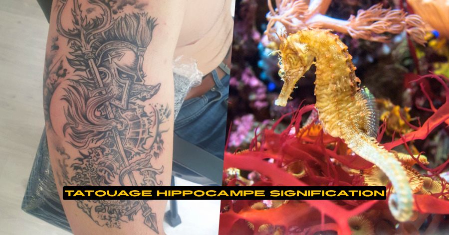 Tatouage Hippocampe Signification Un Symbole Marin Plein de Sens