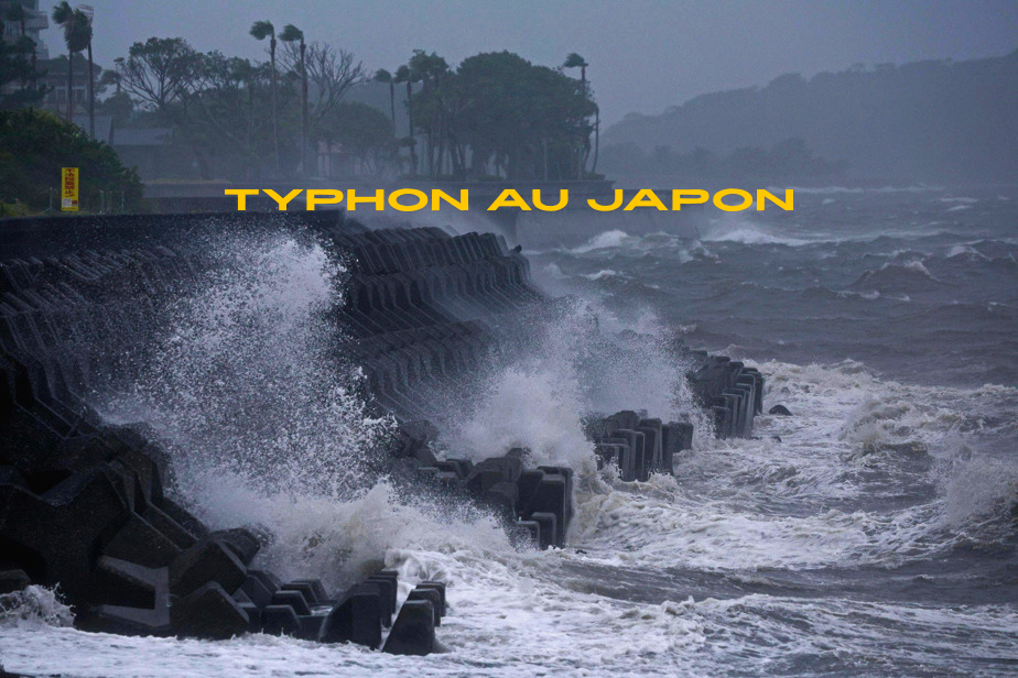Typhon au Japon histoire dangers préparation et impact sur la vie quotidienne